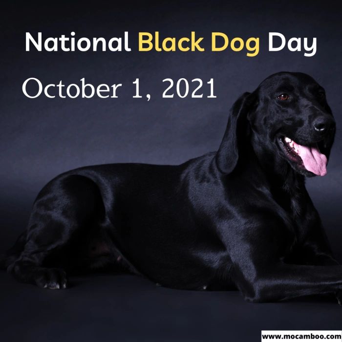National Black Dog Day